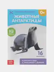 Манго развивающие карточки по методике Г. Домана в одном месте (мега)