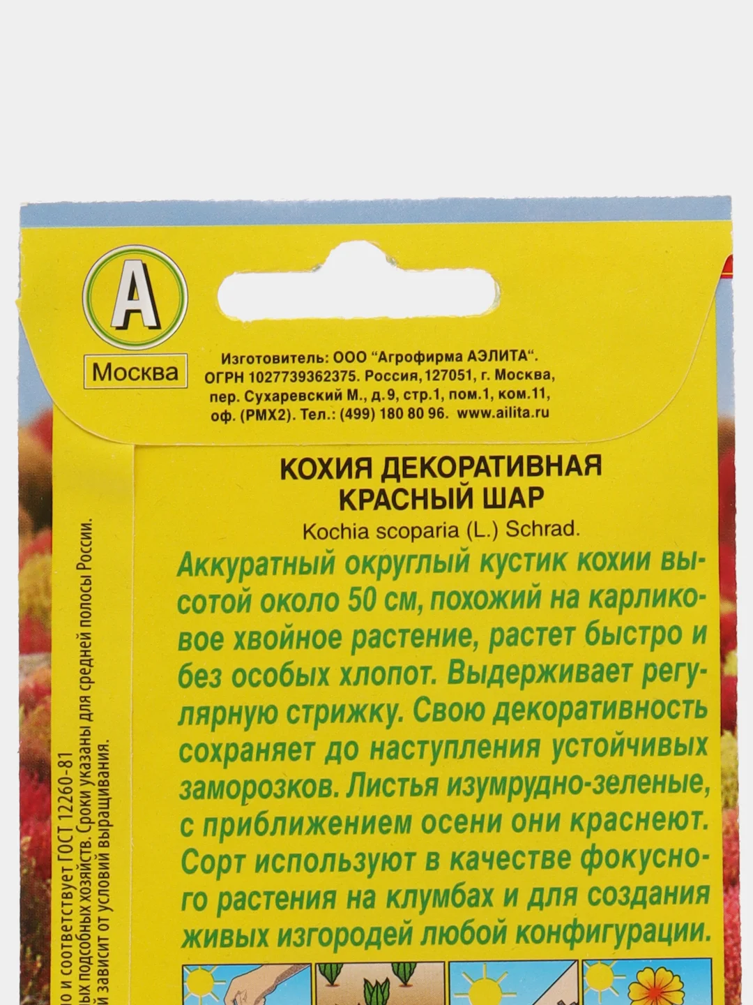 Кохия декоративная Красный шар(семена цветы)