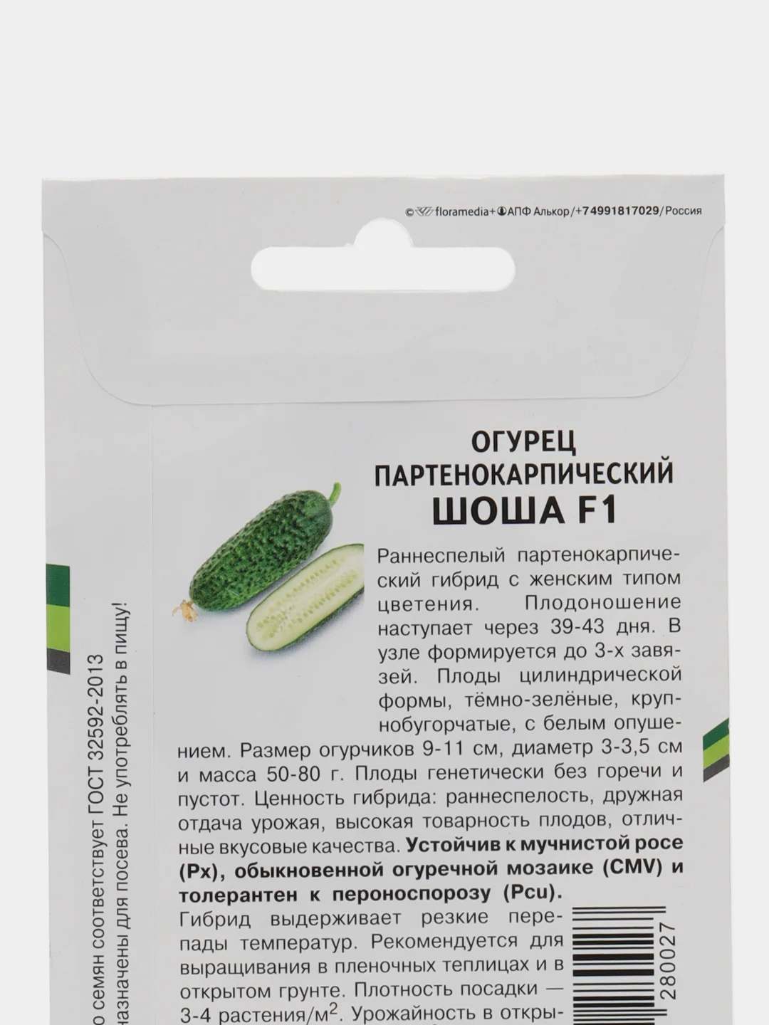 Огурец Шоша(семена)