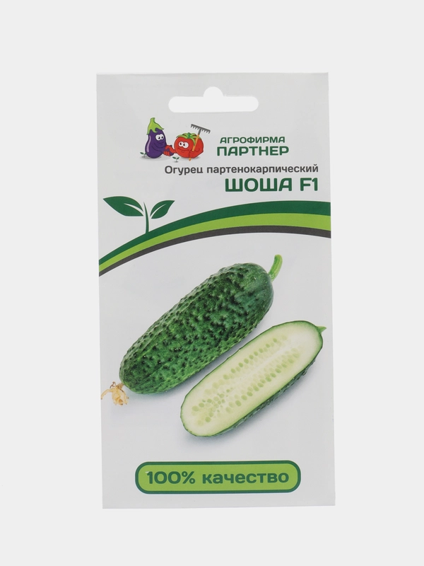 Огурец Шоша(семена)