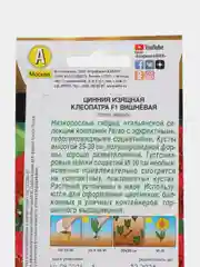 Цинния Клеопатра F1 вишневая 12шт. (Аэлита)