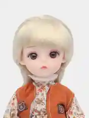 Коричневый коллекционные шарнирные куклы