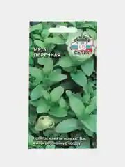 Мята Перечная 0,05 г семена (СеДек)