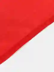 Прозрачный флаг России