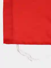 Прозрачный флаг России