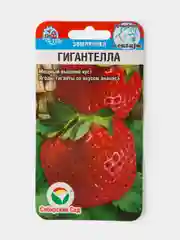 Семена Земляника Гигантелла
