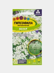 Гипсофила Белая метельчатая (семена,цветы)