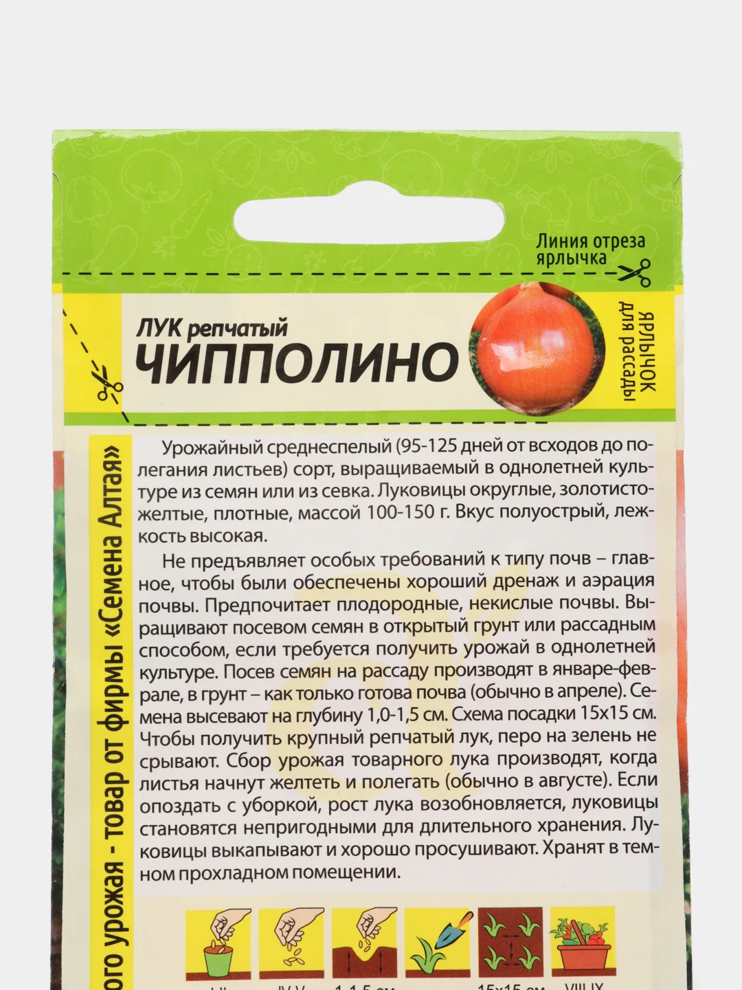 Лук Чипполино (семена)