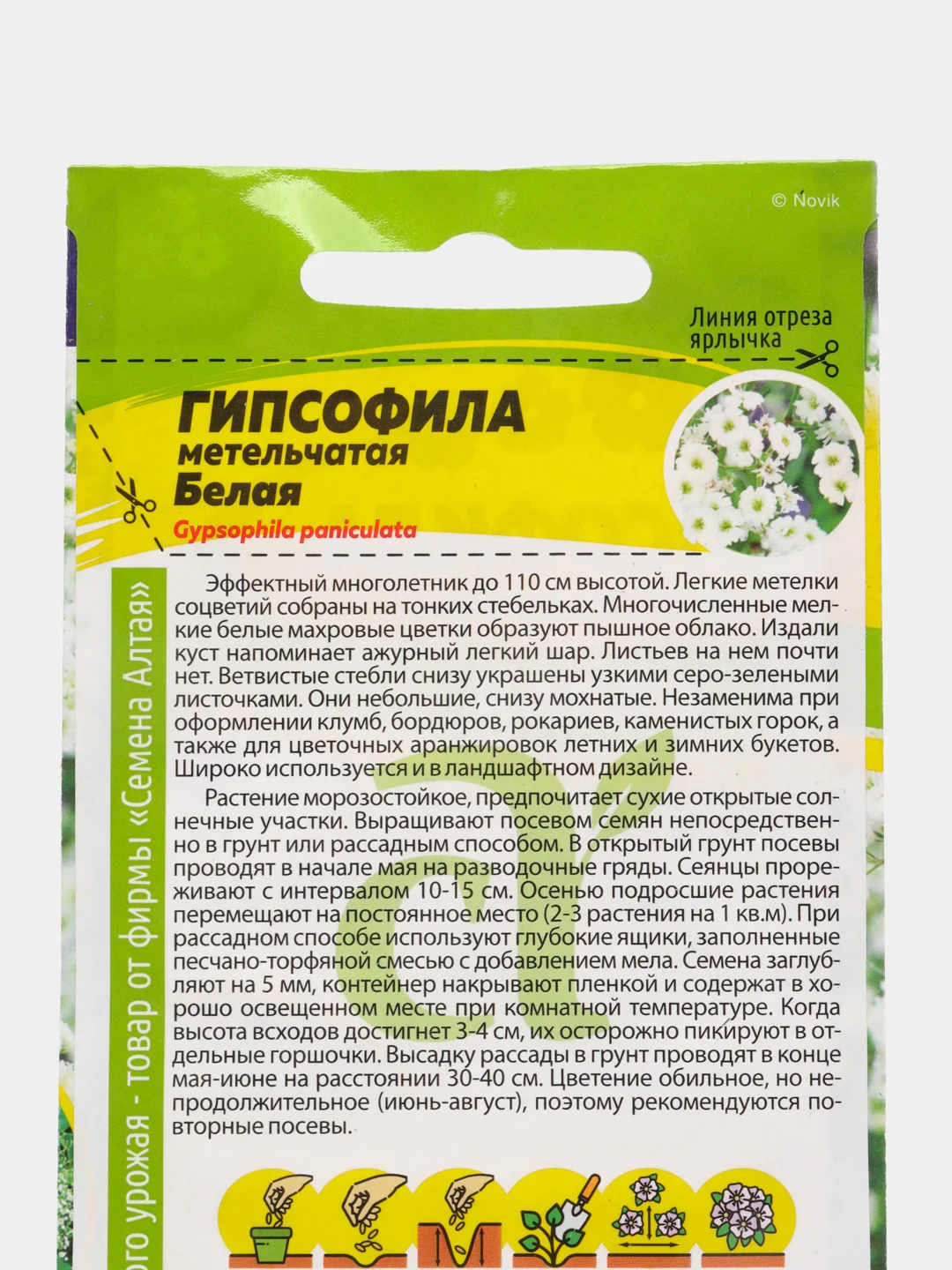 Гипсофила Белая метельчатая (семена,цветы)
