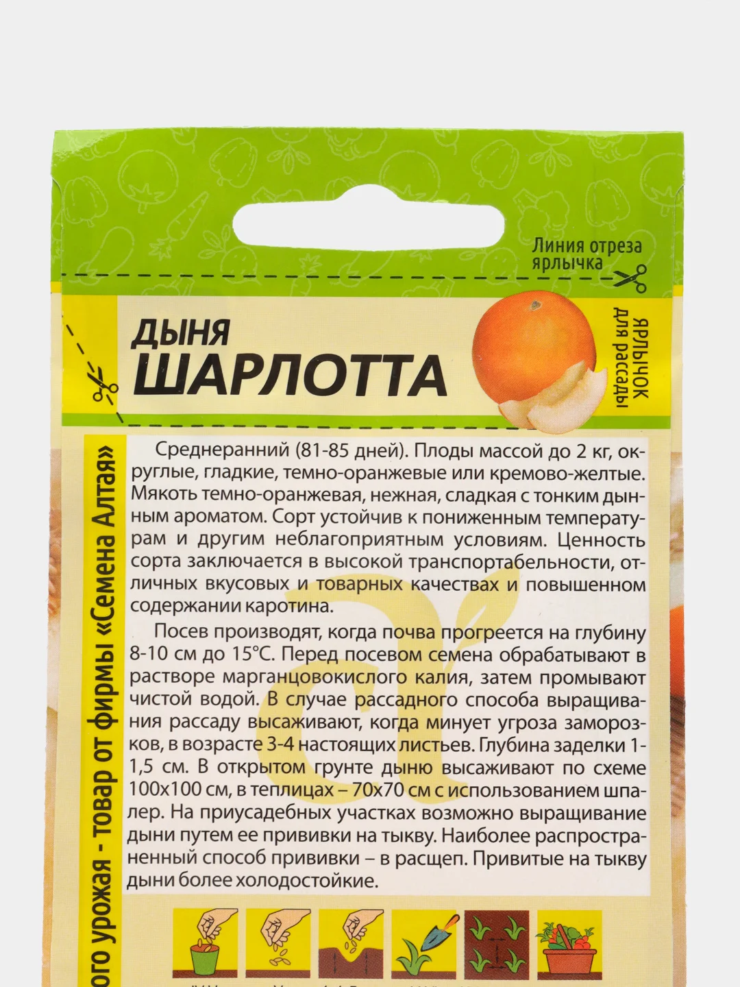 Дыня Шарлотта (семена)