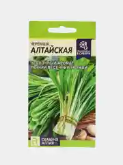 Лук Черемша алтайская (семена)