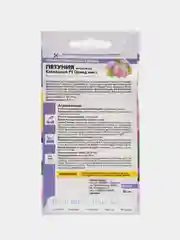 Петуния Орхид Мист махровая каскадная F1 (семена,цветы)