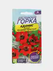 Адонис летний Кроваво-красный (семена,цветы)