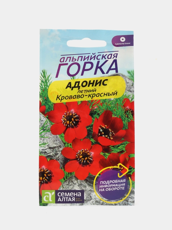 Адонис летний Кроваво-красный (семена,цветы)