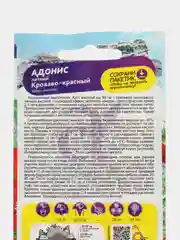Адонис летний Кроваво-красный (семена,цветы)