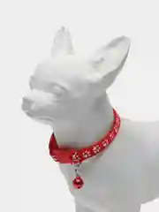 Красный ошейник для собак и кошек