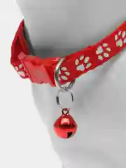 Красный ошейник для собак и кошек