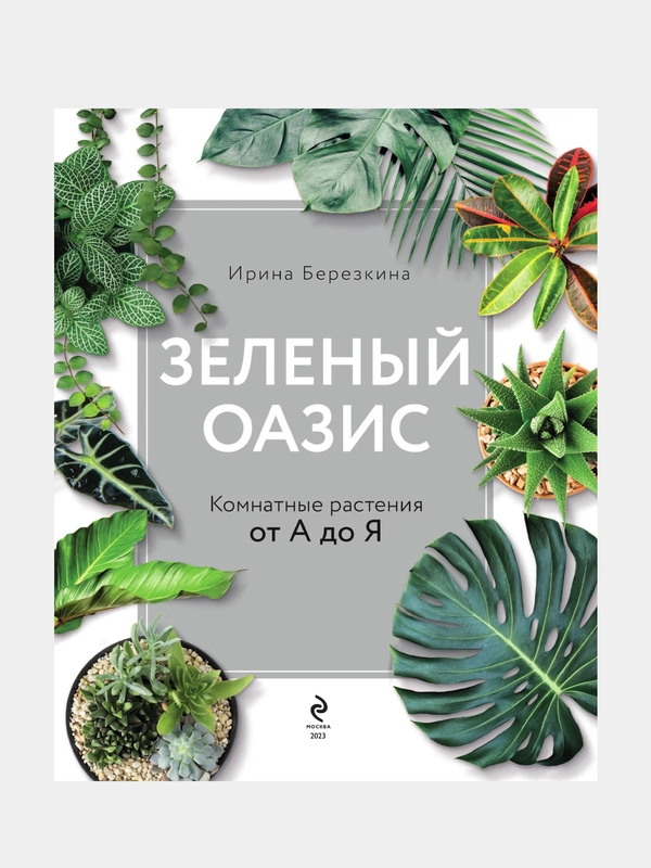 Зеленый оазис. Комнатные растения от А до Я, Ирина Березкина