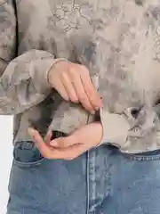 Бежевый топ женский, худи толстовка