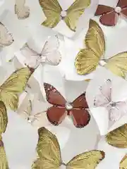 Готовый!Светящийся букет из бабочек