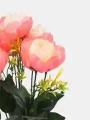 Кораллово-розовый искусственные цветы, букет, розы, высота 40см, 7бутонов
