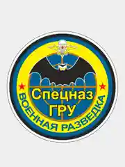 Голубой стикер на авто по родам войск ВДВ ВМФ МЧС ГРУ ПВО ВВС Разведка 90мм