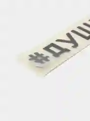 Белый наклейка ДУШНИЛА