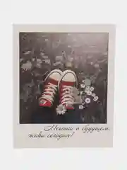Аметистовый мини-открытки в стиле фотокарточки с пожеланиями для 14 февраля, 8 марта, для творчества