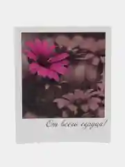 Бежевый мини-открытки в стиле фотокарточки с пожеланиями для 14 февраля, 8 марта, для творчества