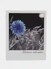Бордовый мини-открытки в стиле фотокарточки с пожеланиями для 14 февраля, 8 марта, для творчества