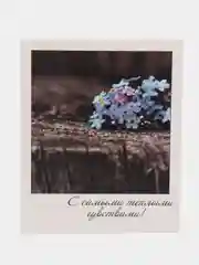 Горчичный мини-открытки в стиле фотокарточки с пожеланиями для 14 февраля, 8 марта, для творчества
