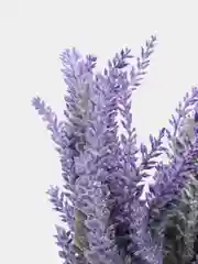 Лаванда зелень искусственная
