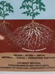Кормилица Микориза 1 литр ОЖЗ Кузнецова