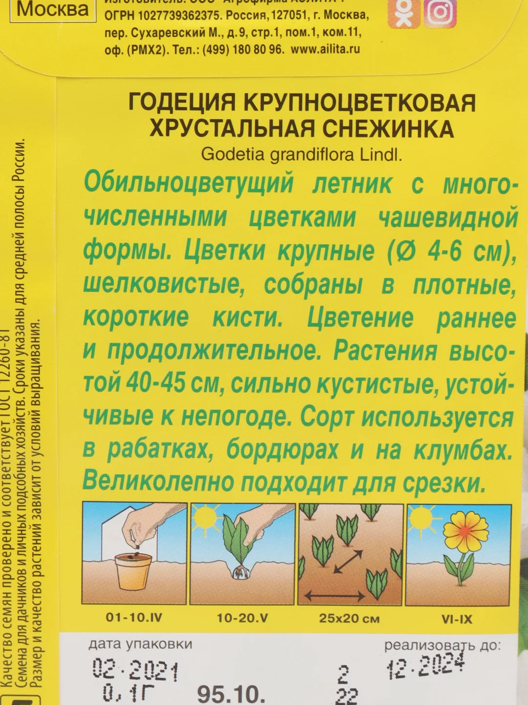 Семена цветов Годеция крупноцветковая Хрустальная снежинка, однолетник, низкорослое