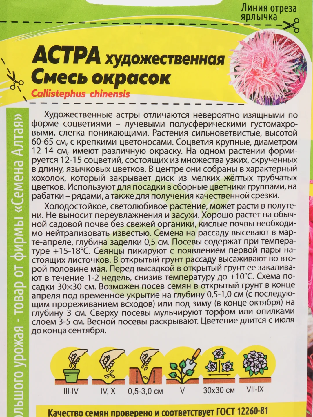 Семена цветов Астра художественная, смесь окрасок