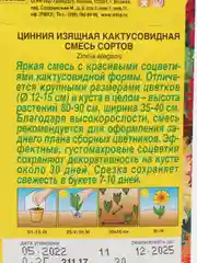 Семена цветов Цинния кактусовидная, смесь сортов