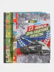 Пакет мужской 23 февраля 20х30 см 5 штук в наборе