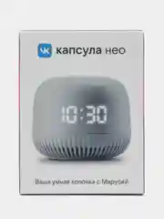 Оранжевый умная колонка VK Нео VKSP11BK