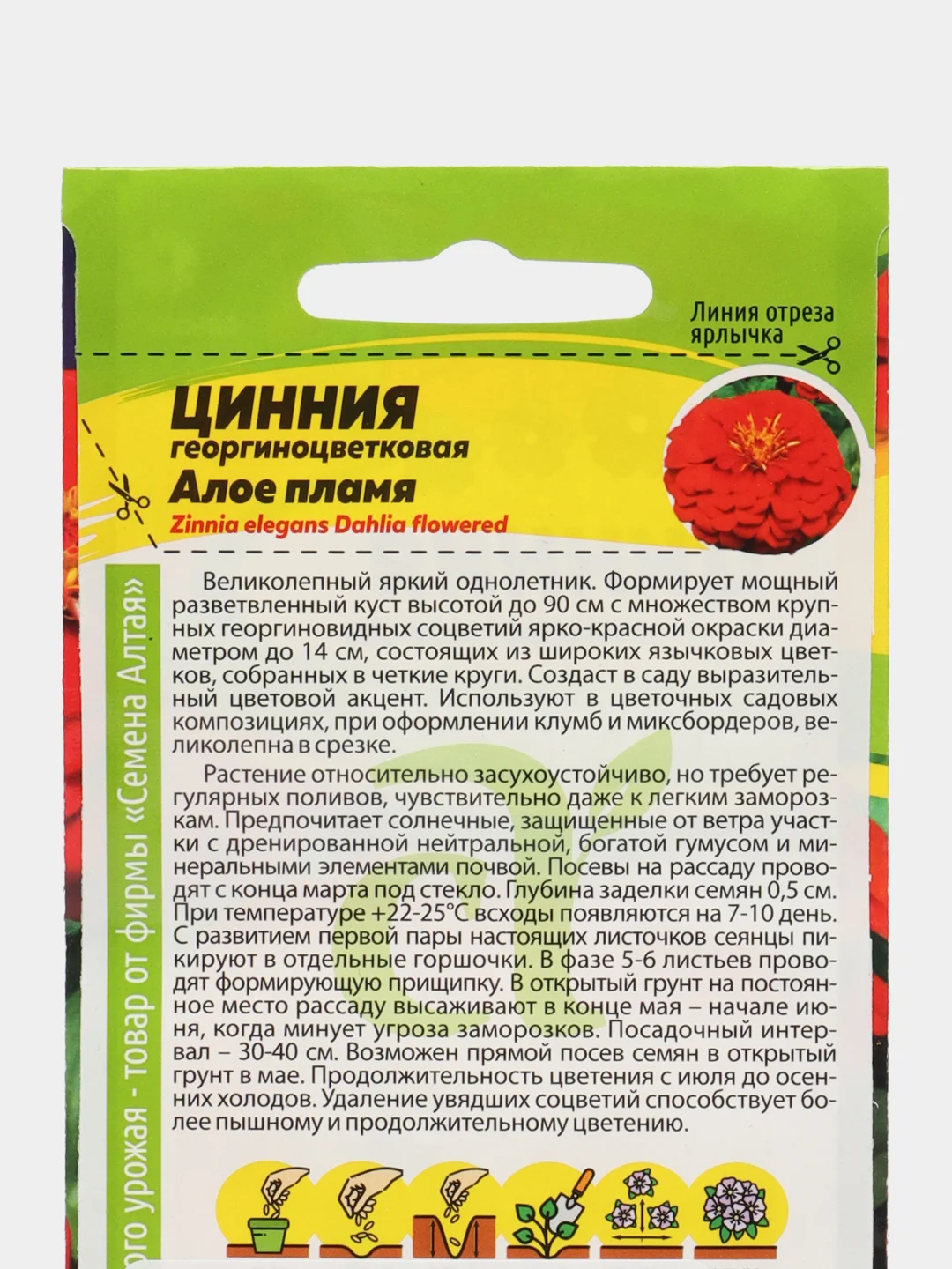 Цинния Георгиноцветковая Алое пламя 0,3г (Семена Алтая)
