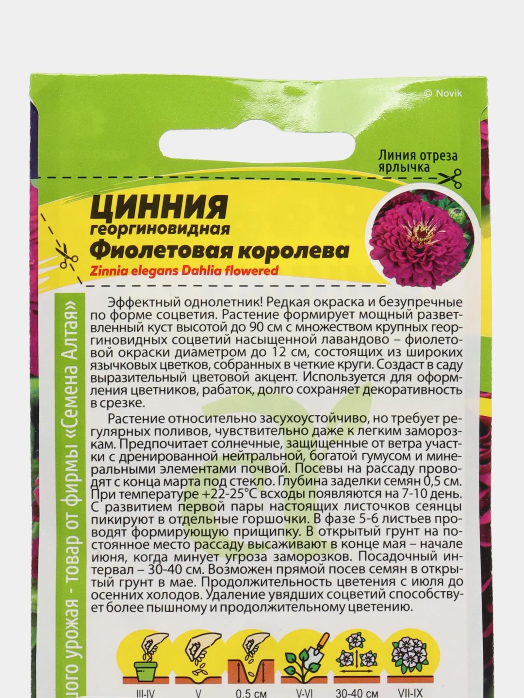 Цинния Георгиноцветковая Фиолетовая Королева 0,3г (Семена Алтая)