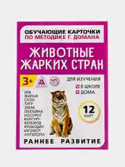 Бронзовый развивающие карточки по методике Г. Домана для детей, 12 карт, А6, 3+