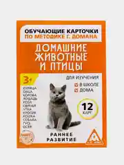 Терракотовый развивающие карточки по методике Г. Домана для детей, 12 карт, А6, 3+
