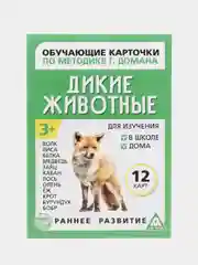 Салатовый развивающие карточки по методике Г. Домана для детей, 12 карт, А6, 3+
