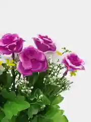 Фуксия искусственные цветы