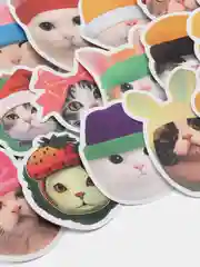 Мятный наклейки-стикеры котики мемы, 50 штук. Стикерпак с котиками и собачками, скрапбукинг. Таро