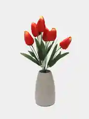Коралловый тюльпаны