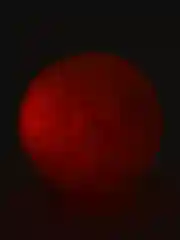 Фуксия мячик светящийся , попрыгун мягкий