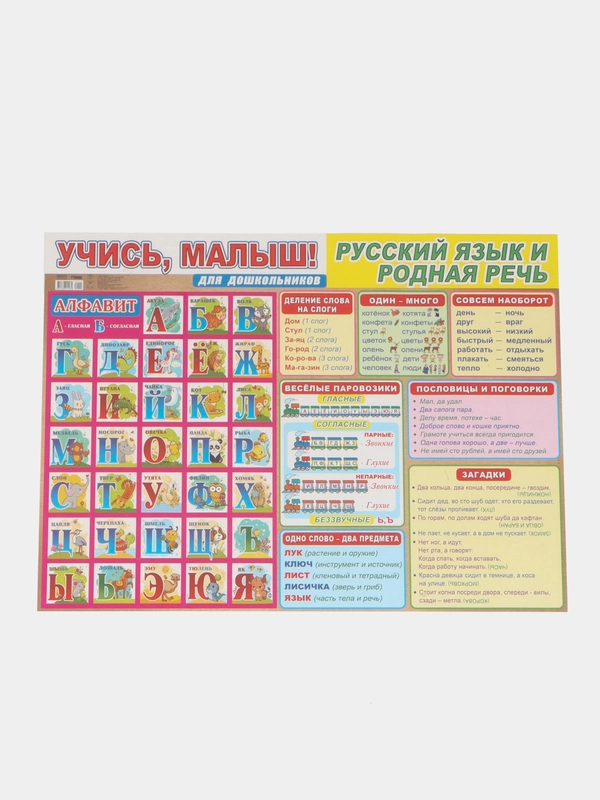 Обучающий плакат шпаргалка Русский язык и Родная речь для дошкольников 60х44 см