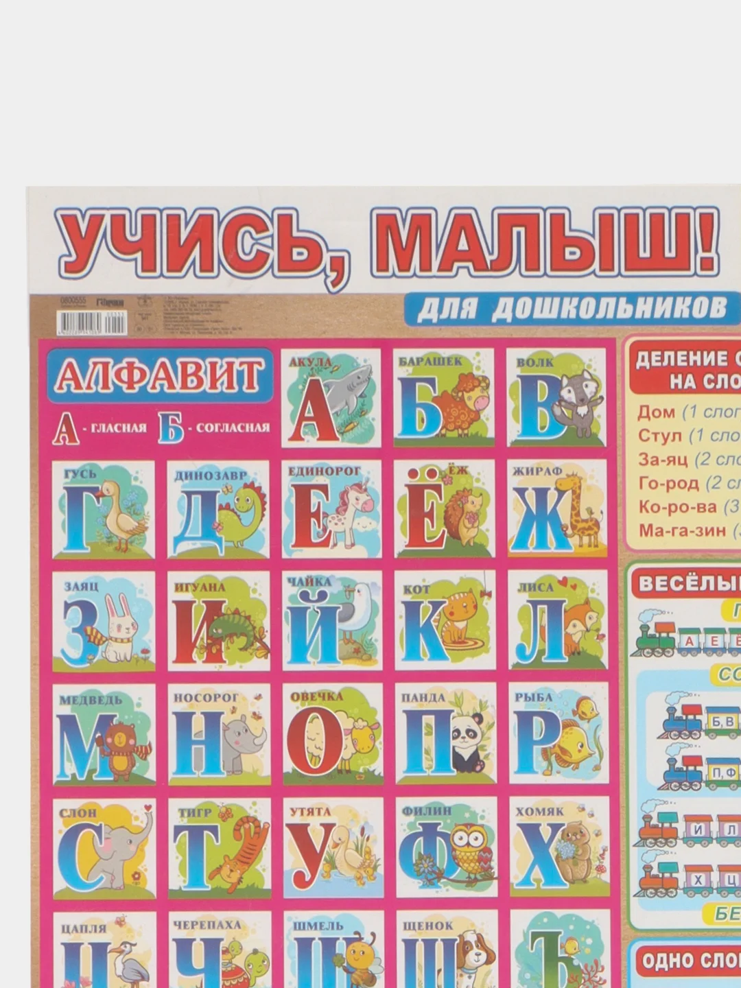 Обучающий плакат шпаргалка Русский язык и Родная речь для дошкольников 60х44 см