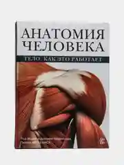 Анатомия человека